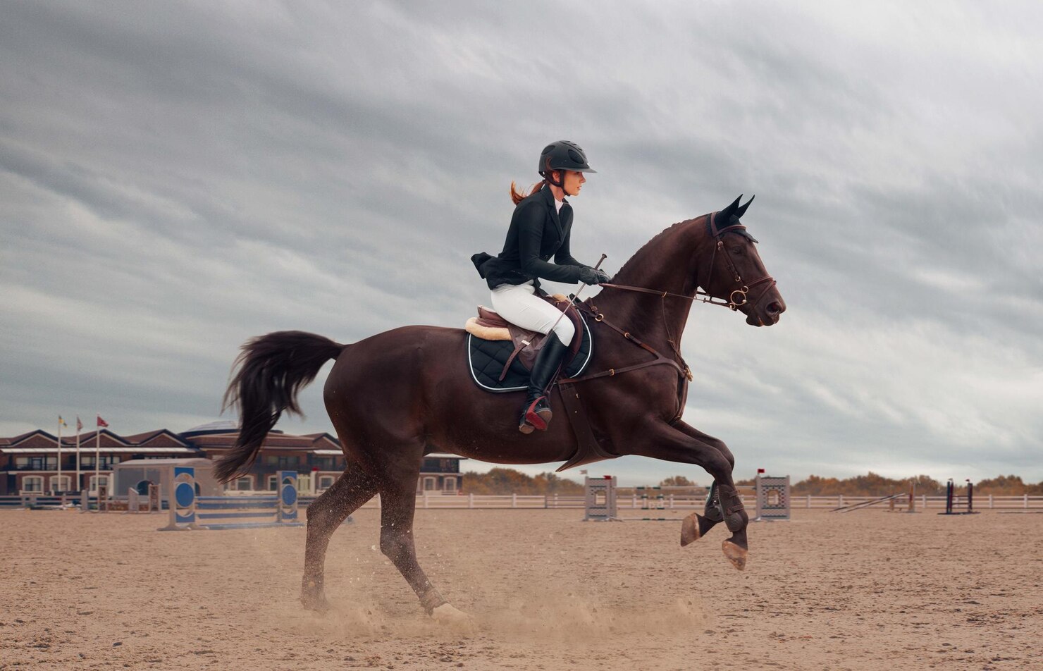 Caballo y jinete entrenando al aire libre